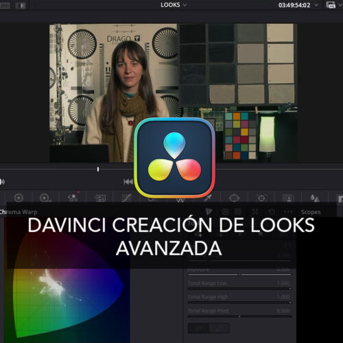 DaVinci Advanced Looks Creation Online Course